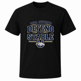 Defend the Stable Flag Football