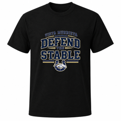 Defend the Stable Football