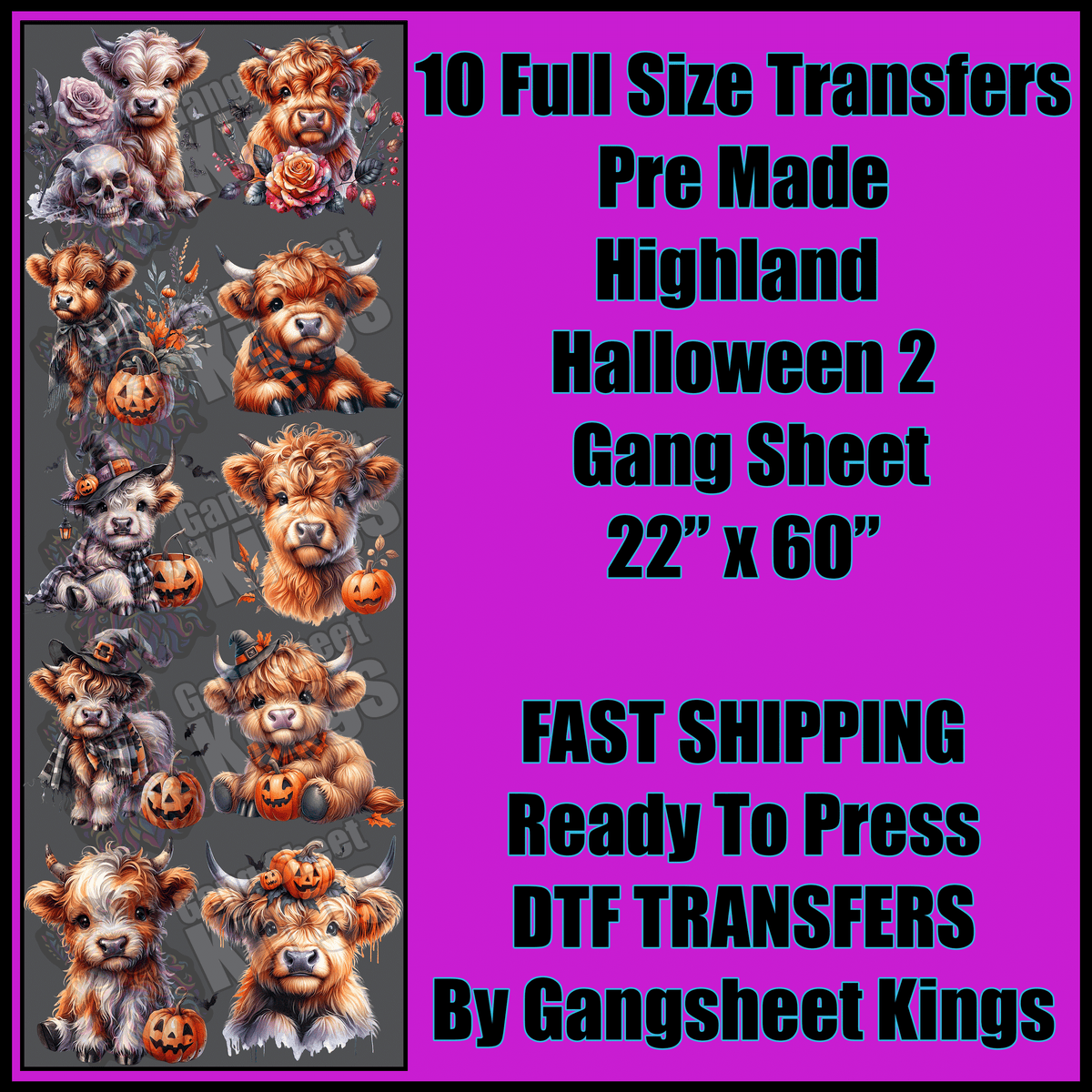 Highland Cow 2 Halloween Gangsheet