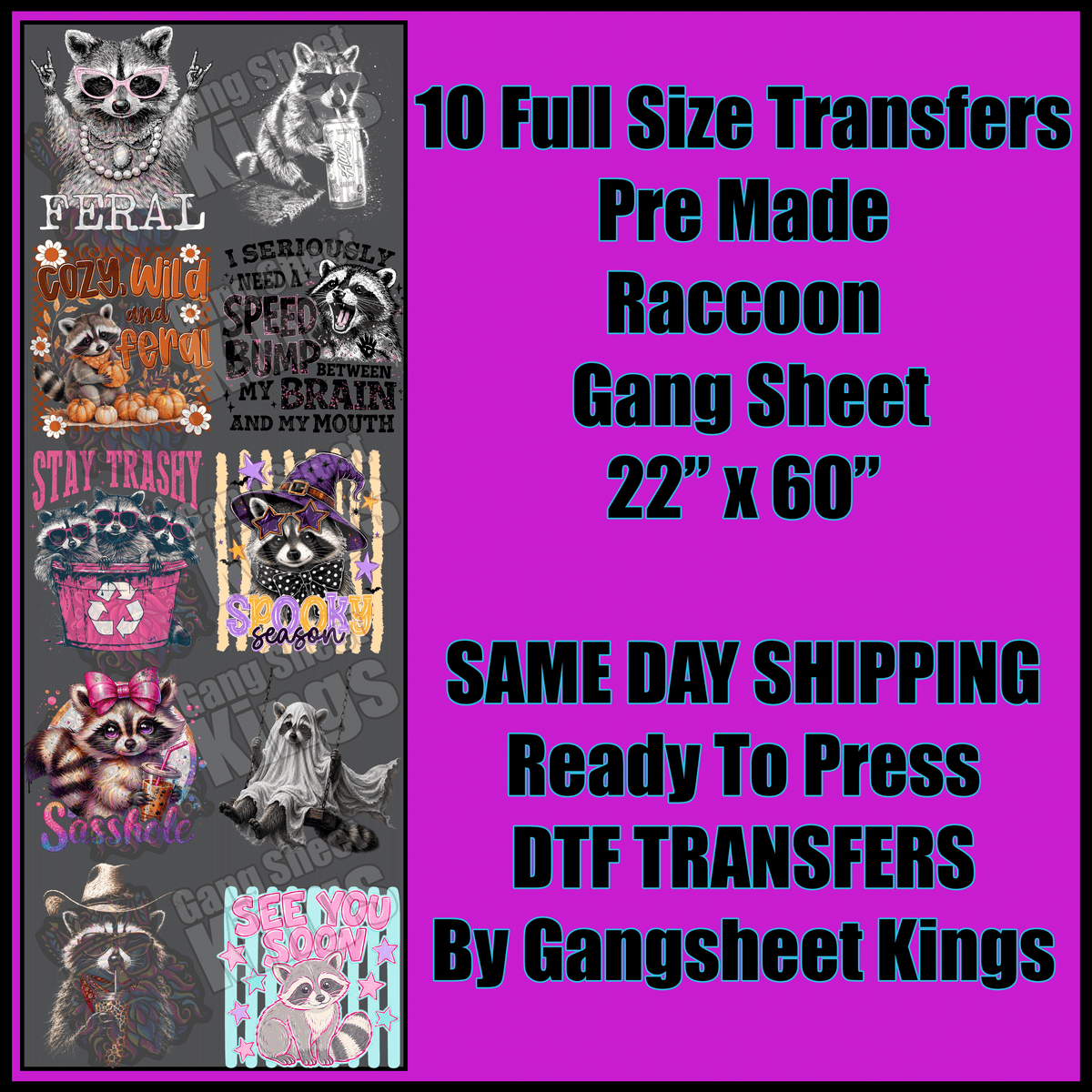 Raccoon Gangsheet